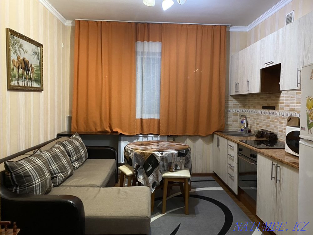 hourly rent apartment Almaty - photo 11