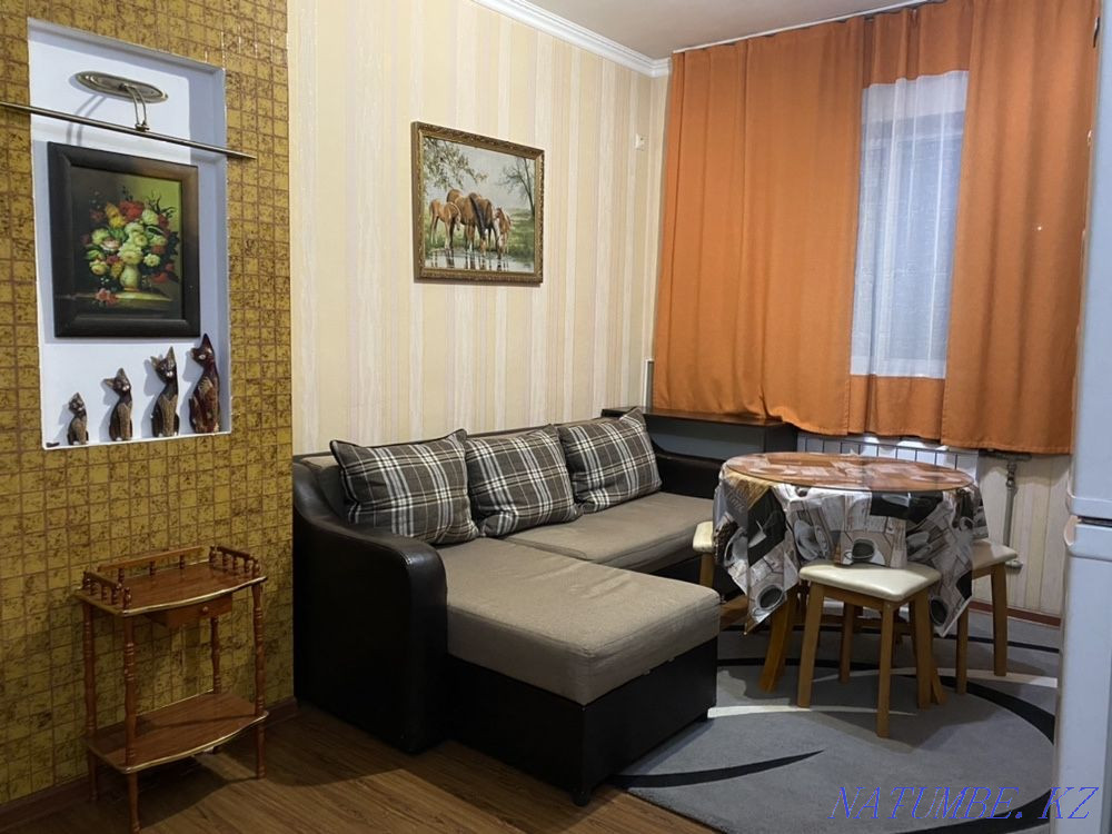 hourly rent apartment Almaty - photo 4
