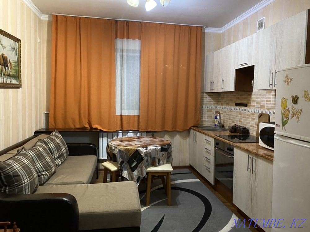 hourly rent apartment Almaty - photo 3