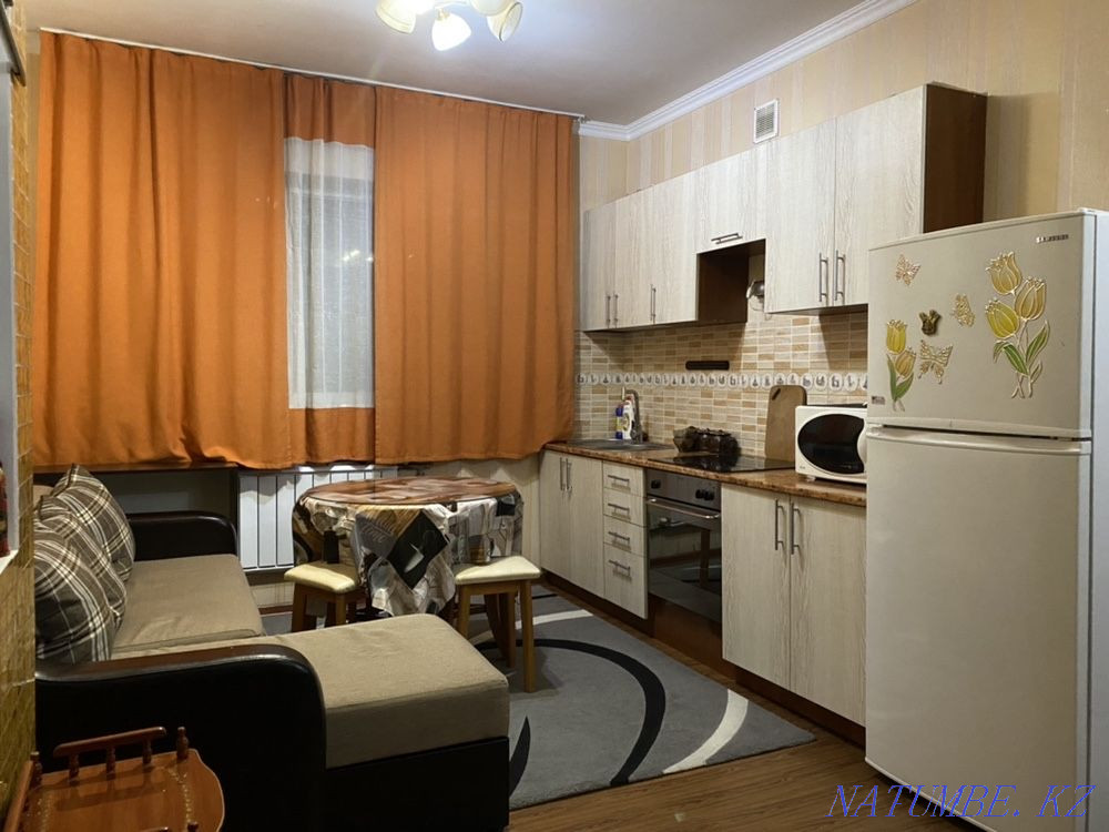 hourly rent apartment Almaty - photo 5