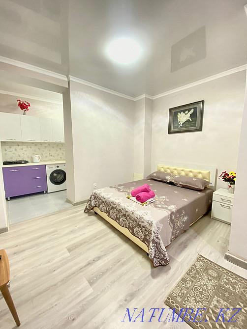 hourly rent apartment Almaty - photo 1
