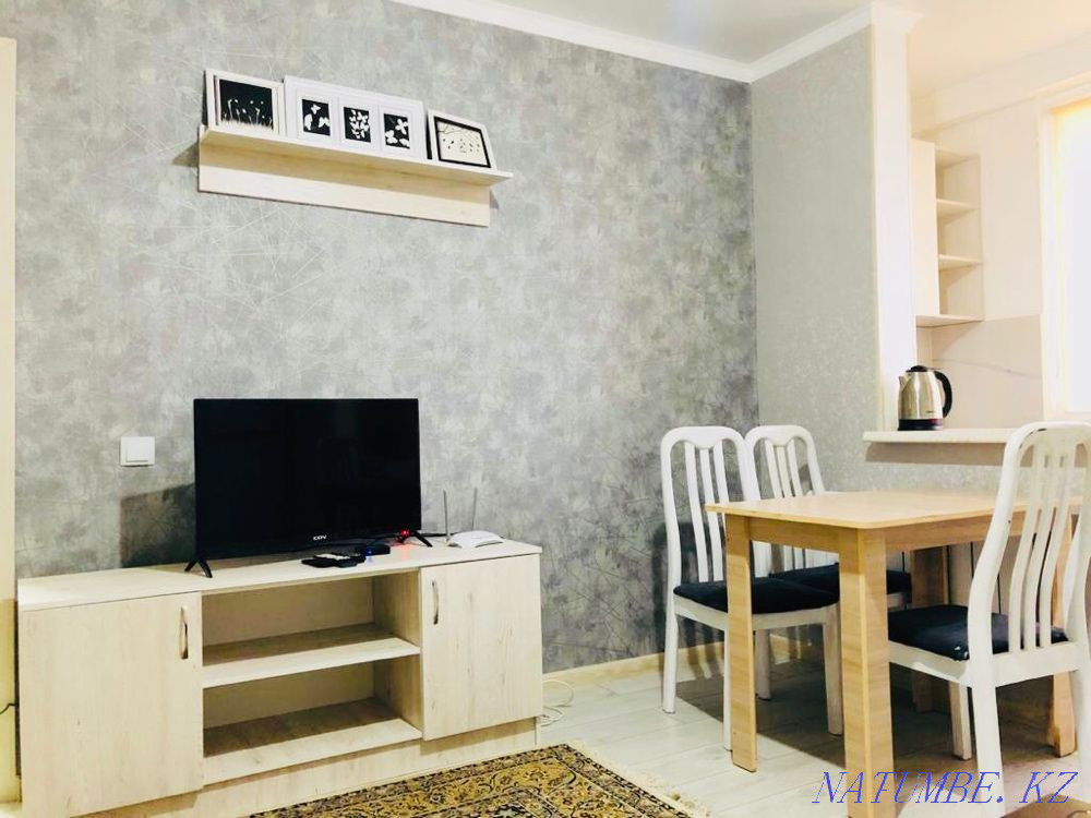 hourly rent apartment Almaty - photo 2