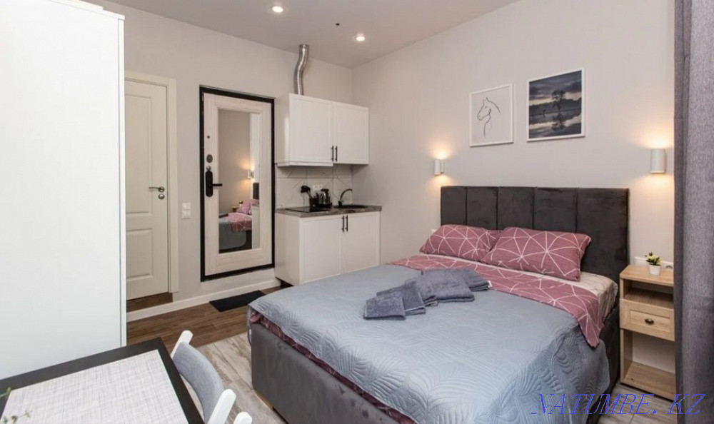  квартиру с почасовой оплатой Алматы - изображение 6