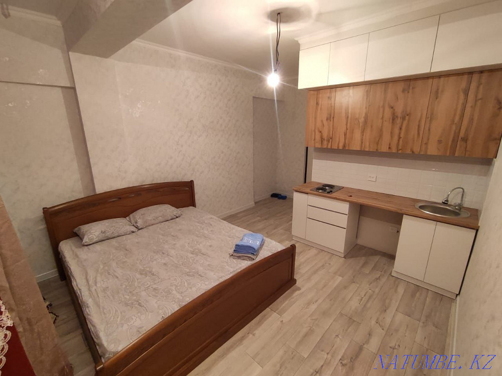  квартиру с почасовой оплатой Алматы - изображение 2