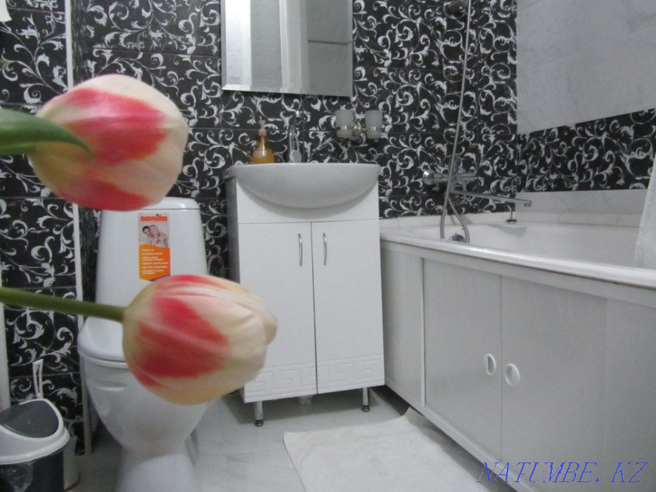  квартиру с почасовой оплатой Алматы - изображение 4