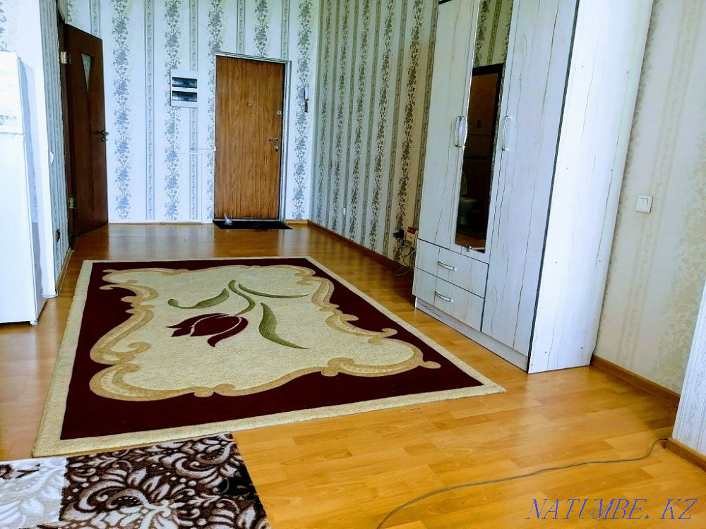  квартиру с почасовой оплатой Алматы - изображение 5