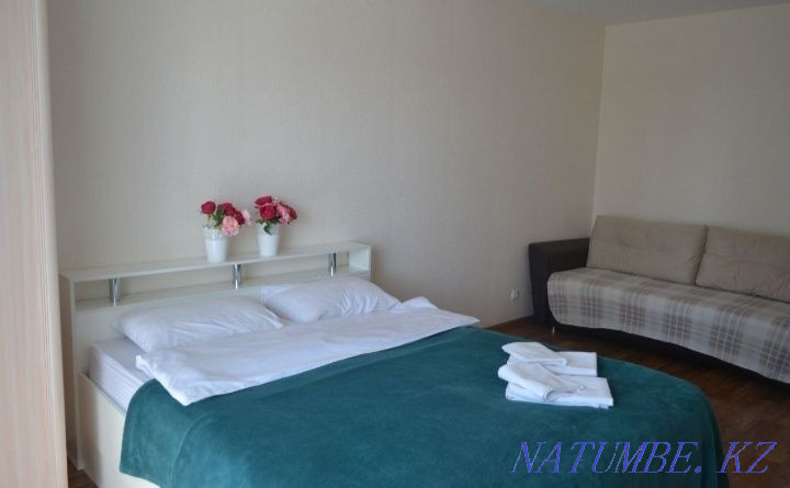 hourly rent apartment Almaty - photo 1