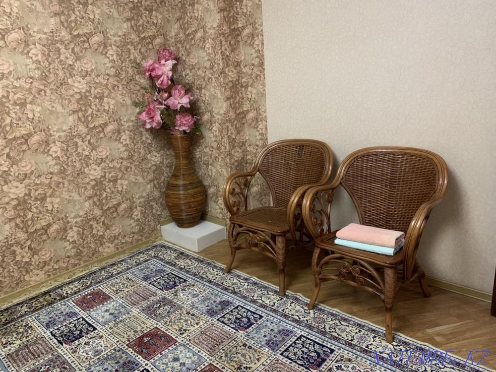  квартиру с почасовой оплатой Алматы - изображение 3