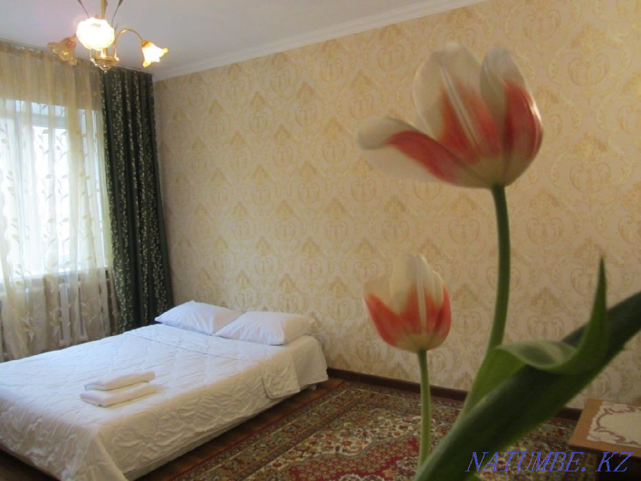  квартиру с почасовой оплатой Алматы - изображение 3