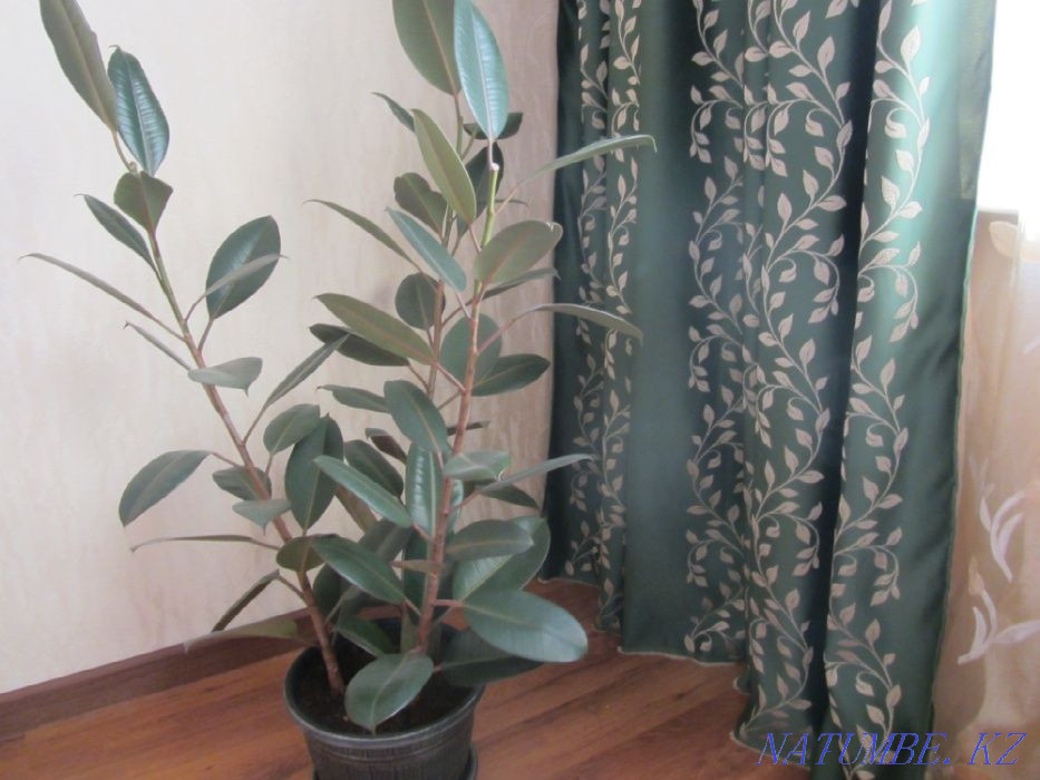 hourly rent apartment Almaty - photo 4