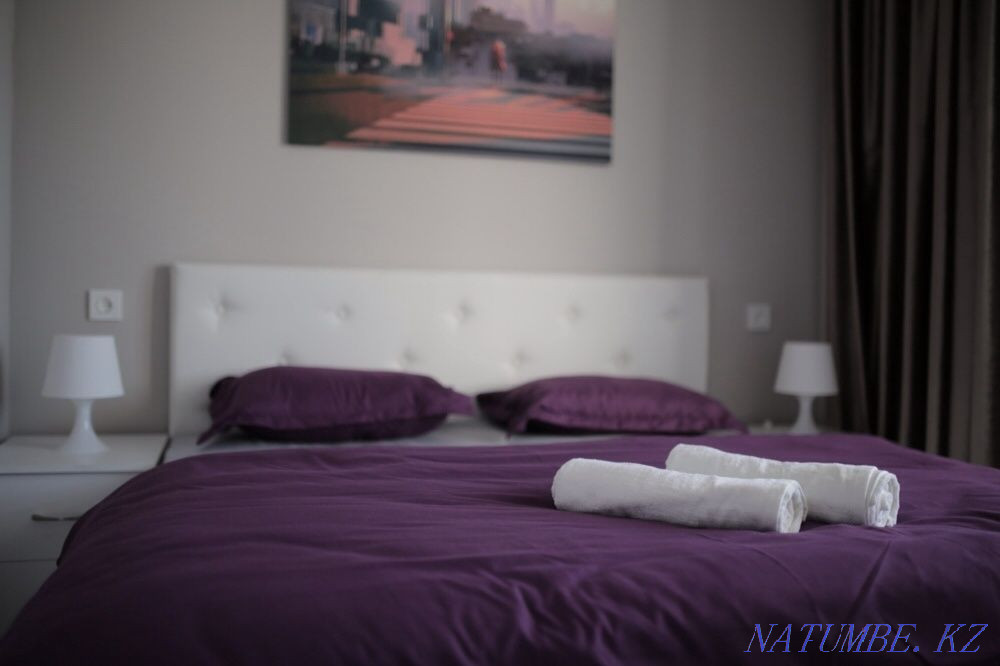 Two-room apartment for daily rent Almaty - photo 7