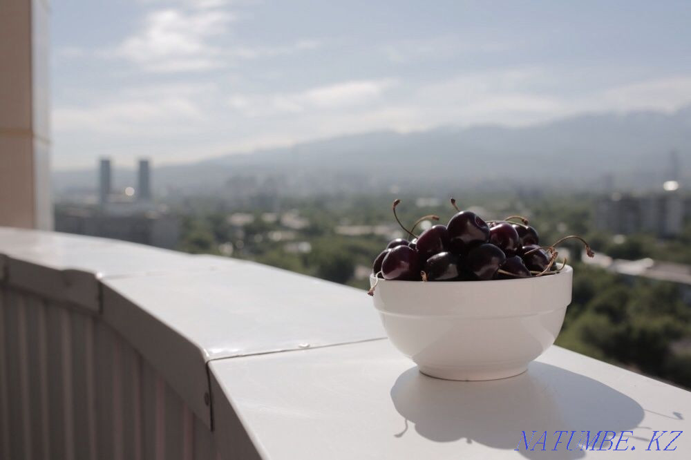 Two-room apartment for daily rent Almaty - photo 12