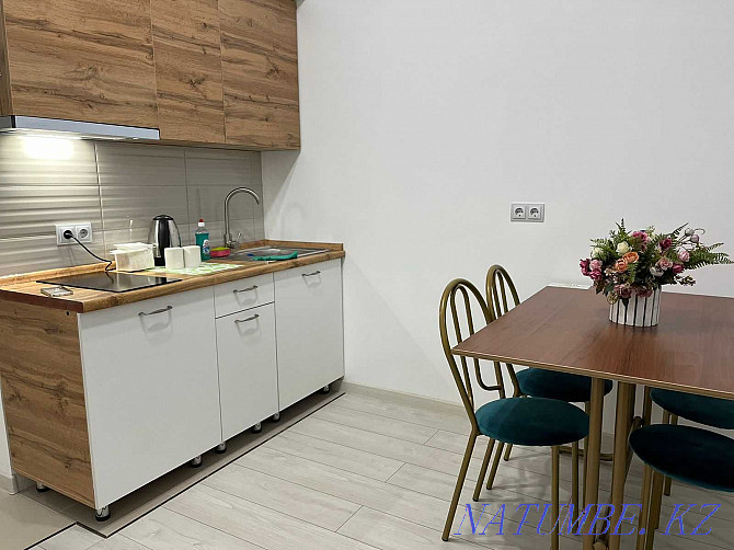 Two-room apartment for daily rent Almaty - photo 3