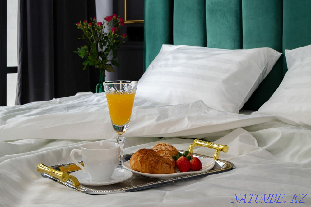 Two-room apartment for daily rent Almaty - photo 10