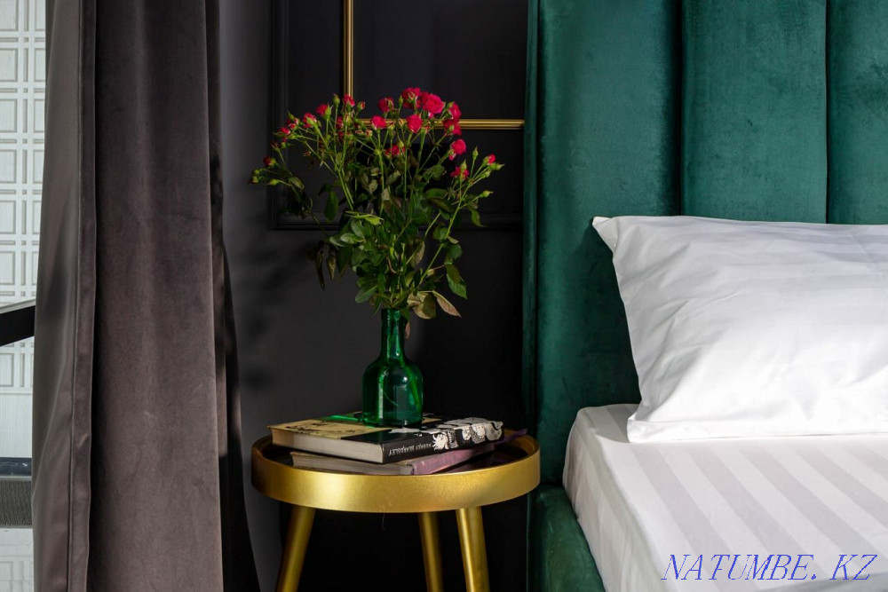 Two-room apartment for daily rent Almaty - photo 11