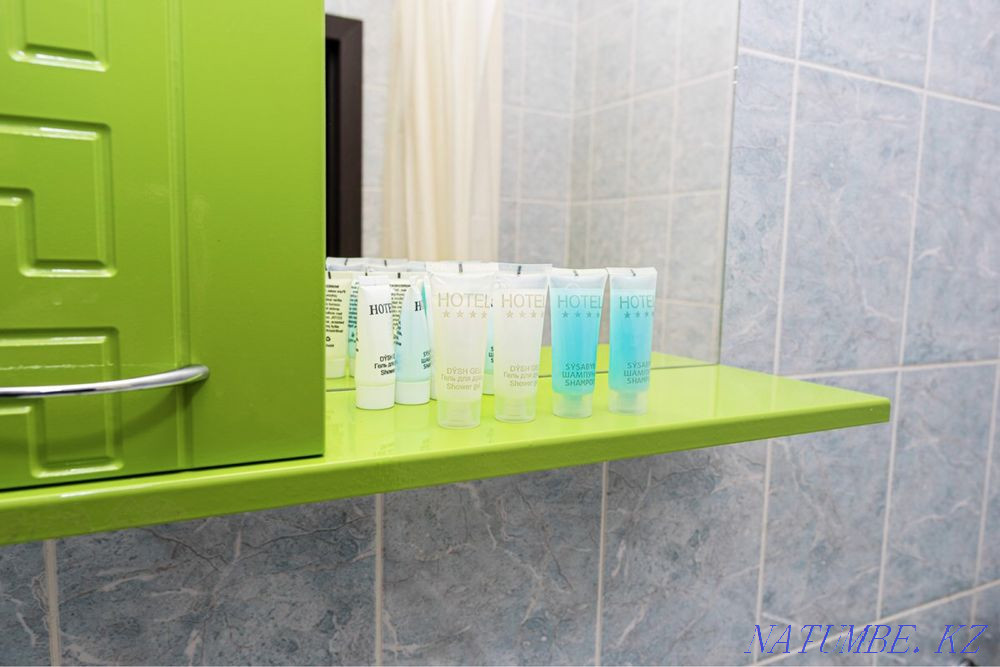 Two-room apartment for daily rent Almaty - photo 15