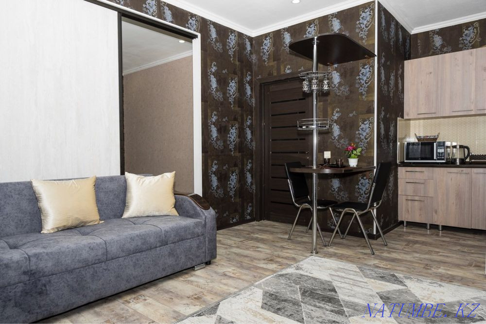 Two-room apartment for daily rent Almaty - photo 1