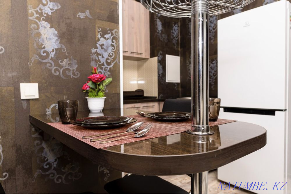 Two-room apartment for daily rent Almaty - photo 12