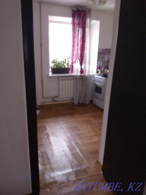 Two-room apartment for daily rent Almaty - photo 2