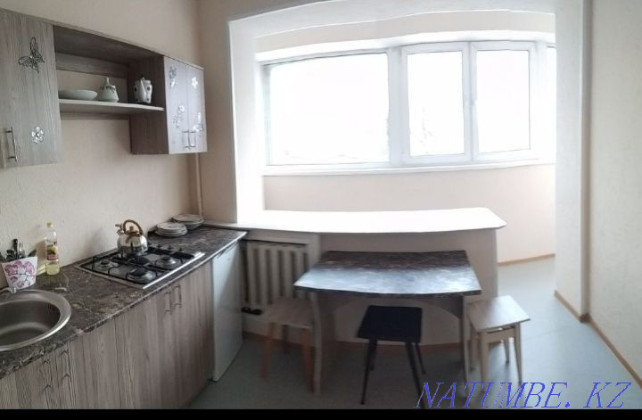Two-room apartment for daily rent Almaty - photo 2