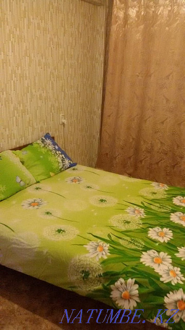 Two-room apartment for daily rent Almaty - photo 1