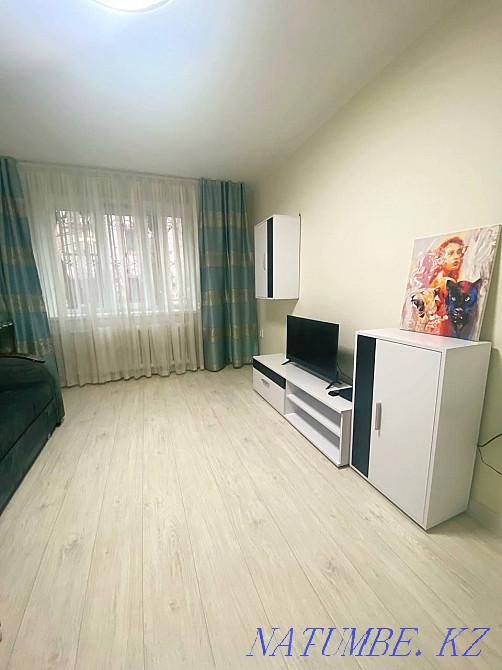 Two-room apartment for daily rent Almaty - photo 2
