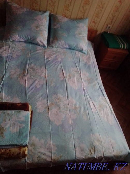 Two-room apartment for daily rent Almaty - photo 2