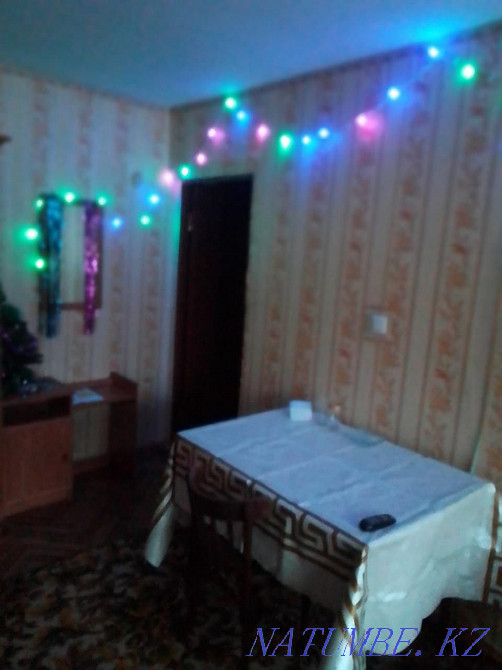 Two-room apartment for daily rent Almaty - photo 4