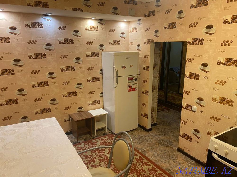 Two-room apartment for daily rent Almaty - photo 2