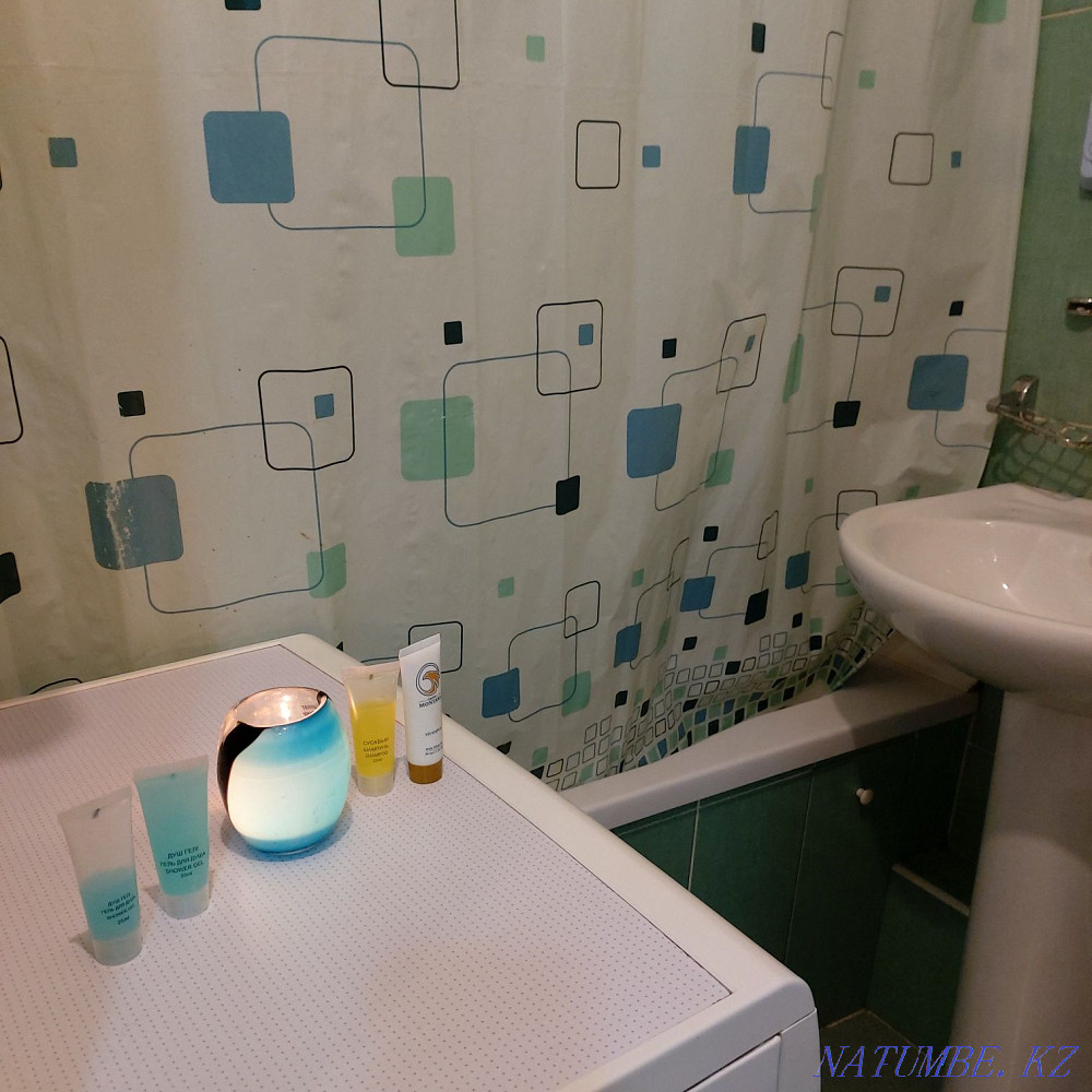 Two-room apartment for daily rent Almaty - photo 8