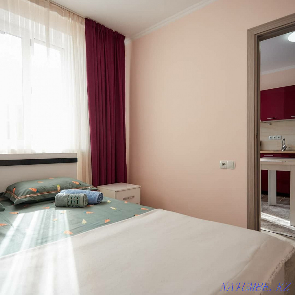 Two-room apartment for daily rent Almaty - photo 4