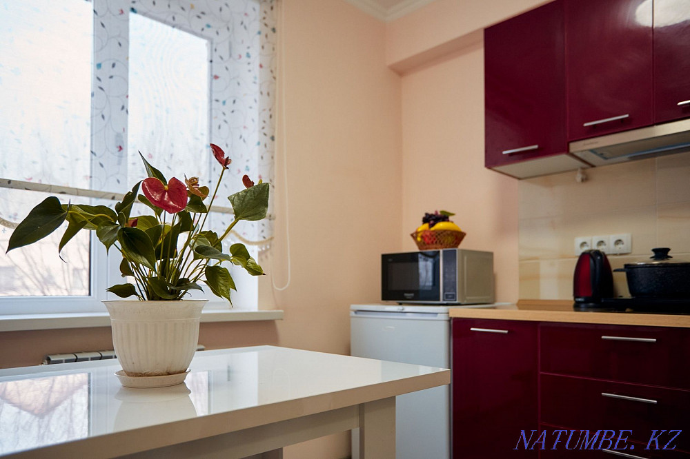 Two-room apartment for daily rent Almaty - photo 7
