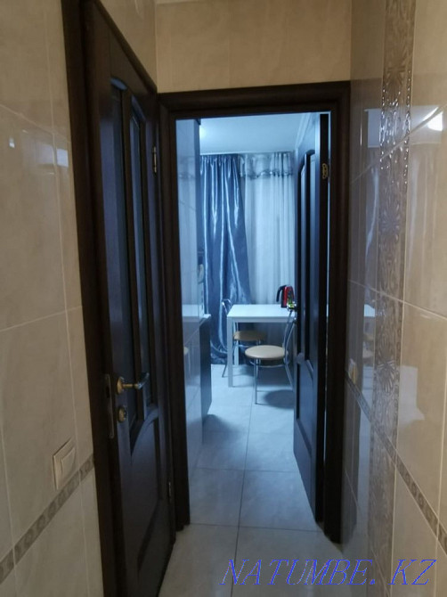 Two-room apartment for daily rent Almaty - photo 4