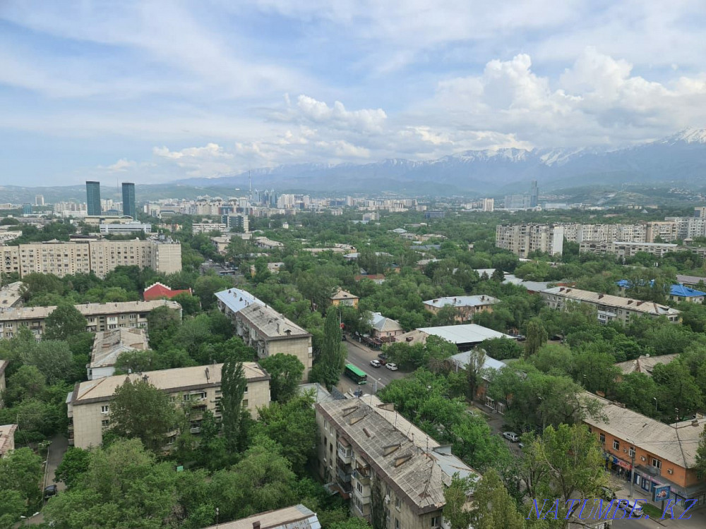 Two-room apartment for daily rent Almaty - photo 11