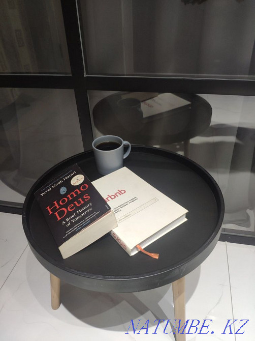 Two-room apartment for daily rent Almaty - photo 3