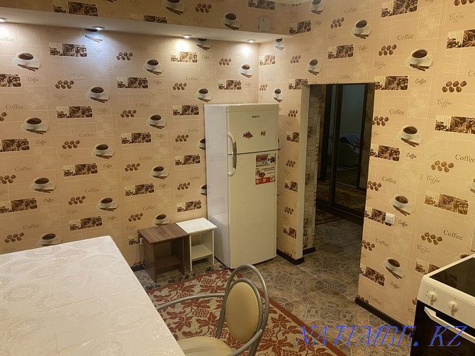 Two-room apartment for daily rent Almaty - photo 4