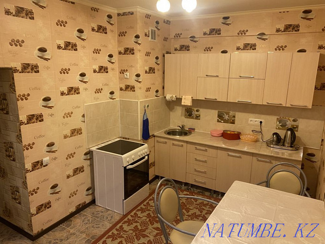 Two-room apartment for daily rent Almaty - photo 3