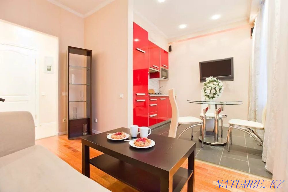 Two-room apartment for daily rent Almaty - photo 8