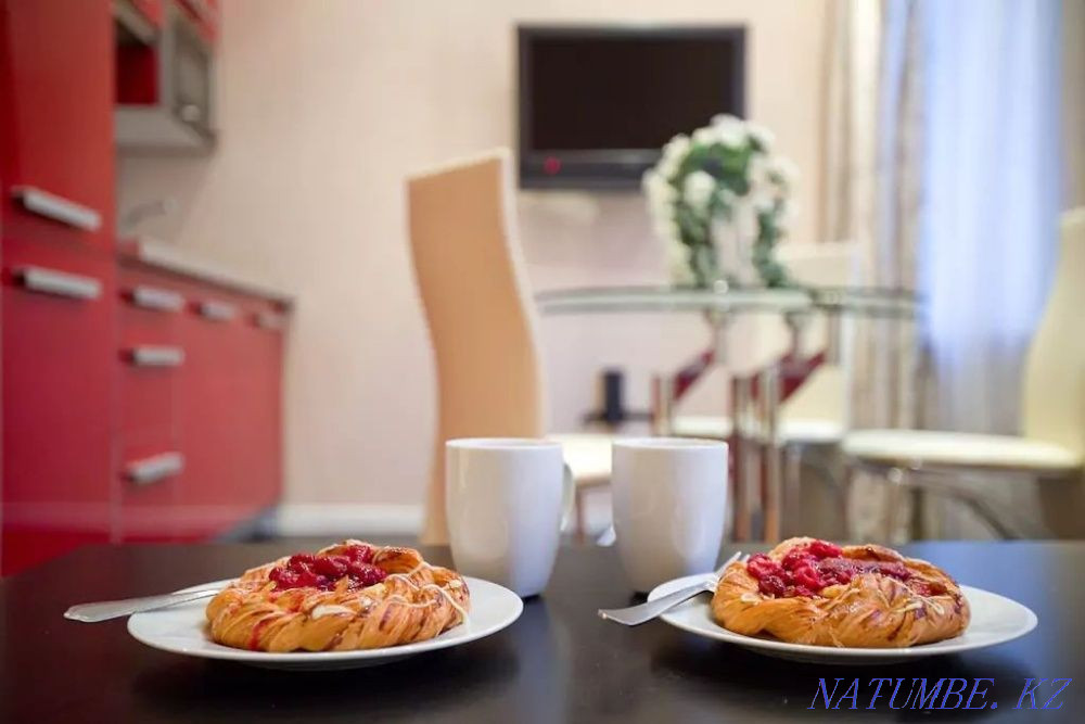 Two-room apartment for daily rent Almaty - photo 3