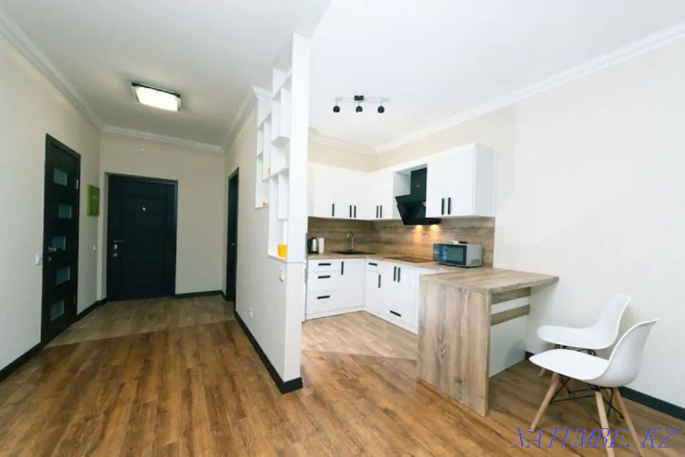 Двухкомнатная посуточно  Алматы - изображение 7