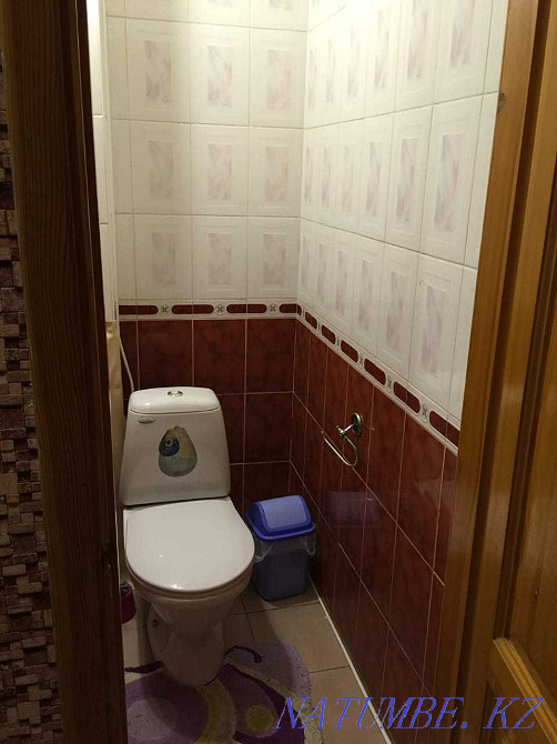 Two-room apartment for daily rent Almaty - photo 12