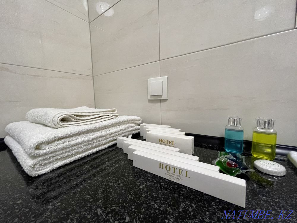 Two-room apartment for daily rent Almaty - photo 12