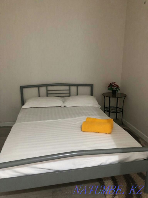 Two-room apartment for daily rent Almaty - photo 3