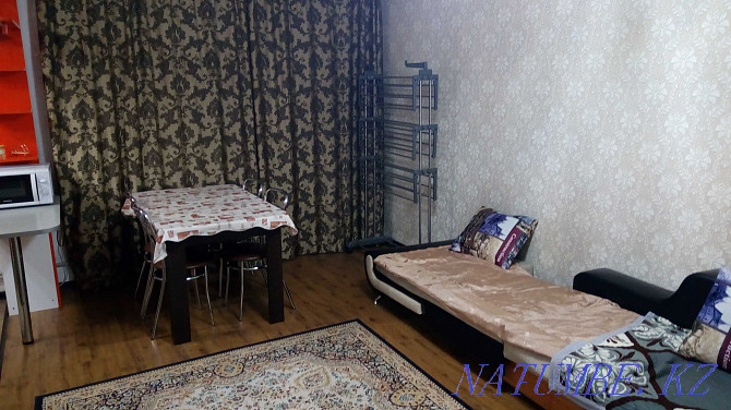 Two-room apartment for daily rent Almaty - photo 11