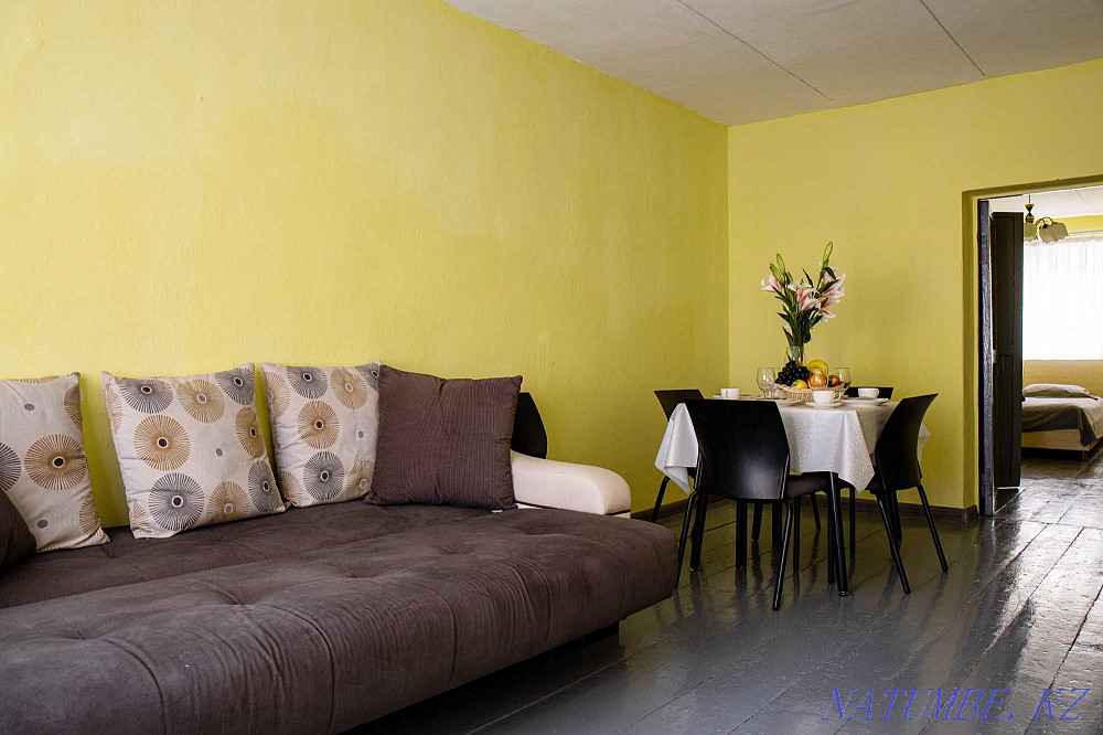 Two-room apartment for daily rent Almaty - photo 3