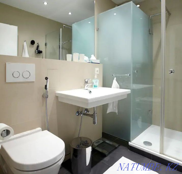 Two-room apartment for daily rent Almaty - photo 12