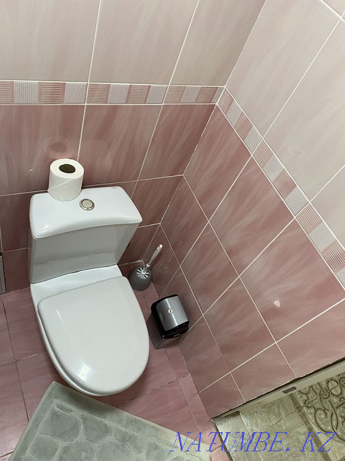 Two-room apartment for daily rent Almaty - photo 8