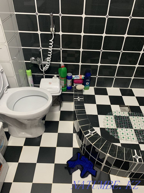 Однокомнатная квартира Алматы - изображение 2