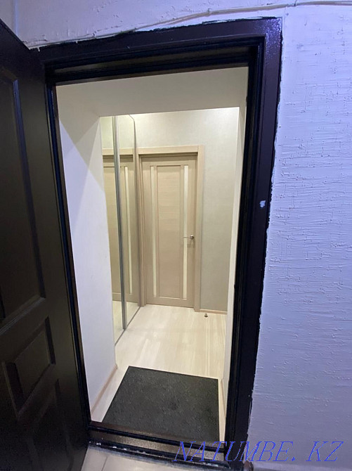 1-room apartment Almaty - photo 5