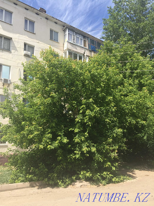 1-room apartment Almaty - photo 18